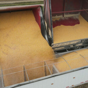 CropChaser-benefits-improved-logistics